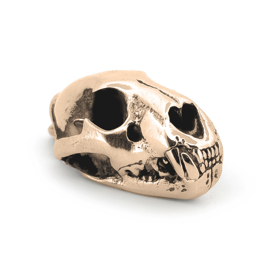 Yellow Bronze Lion Skull Pendant by Fire & Bone