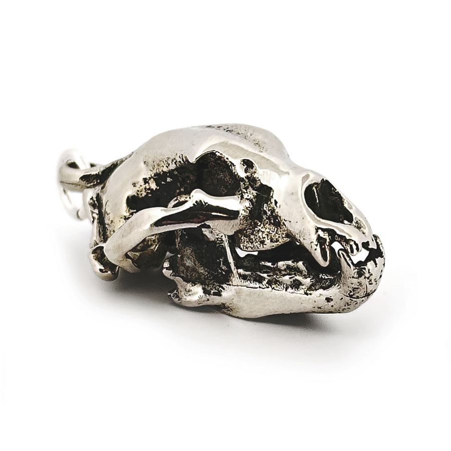 White Bronze American Black Bear Skull Pendant by Fire & Bone