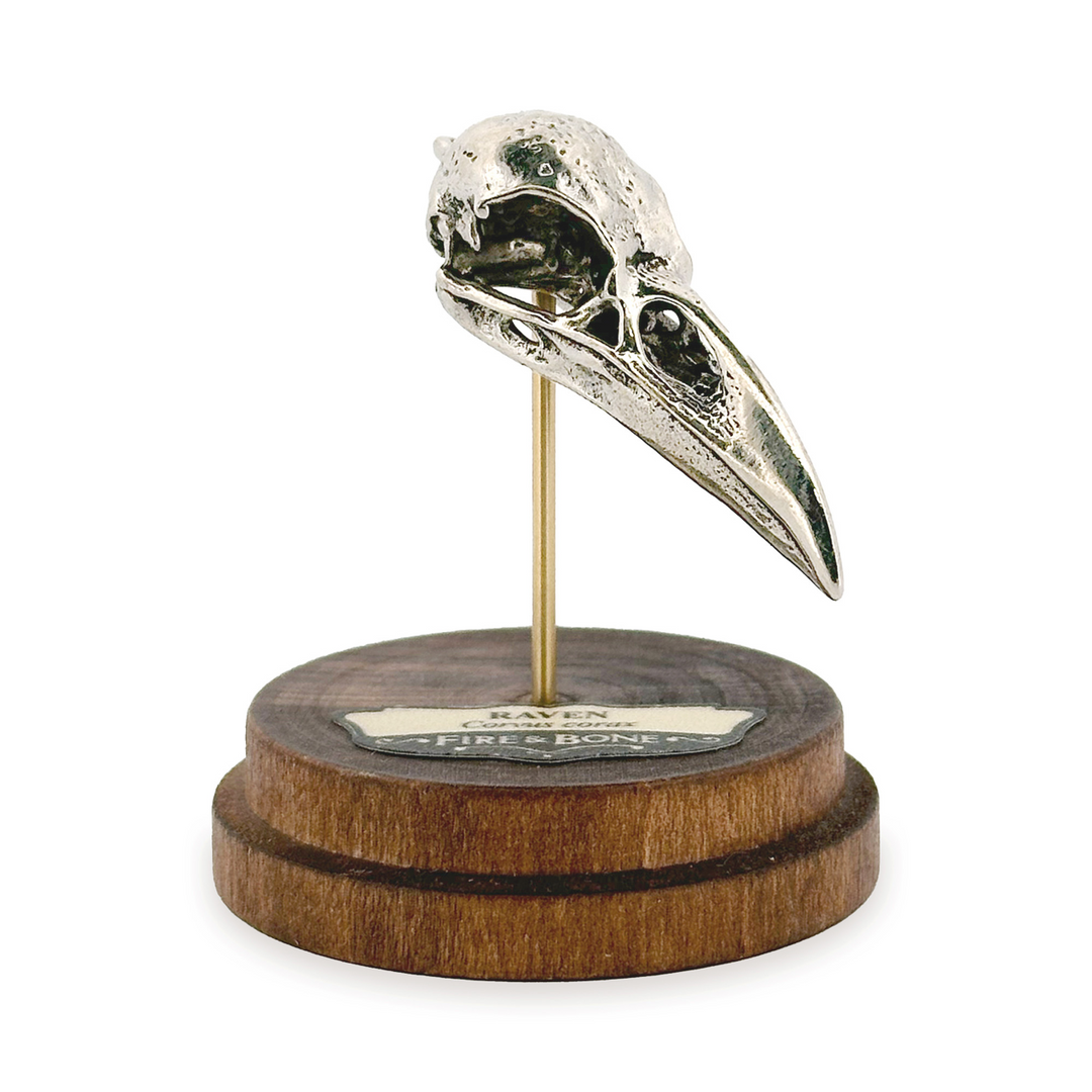 White Bronze Raven Skull Pendant by Fire & Bone