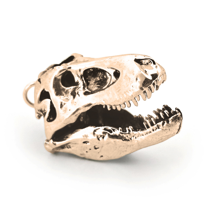 Yellow Bronze Tyrannosaurus Skull Pendant by Fire & Bone