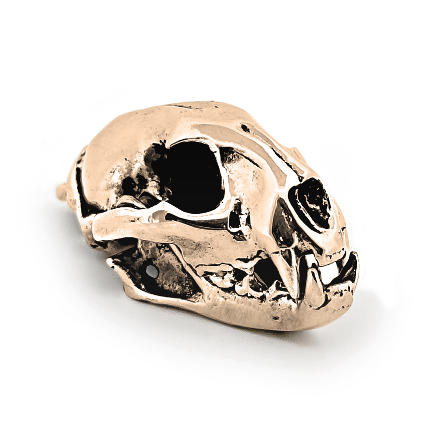 Yellow Bronze Mountain Lion Skull Pendant by Fire & Bone