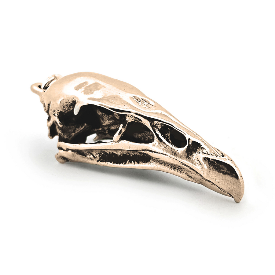 Yellow Bronze California Condor Skull Pendant by Fire & Bone