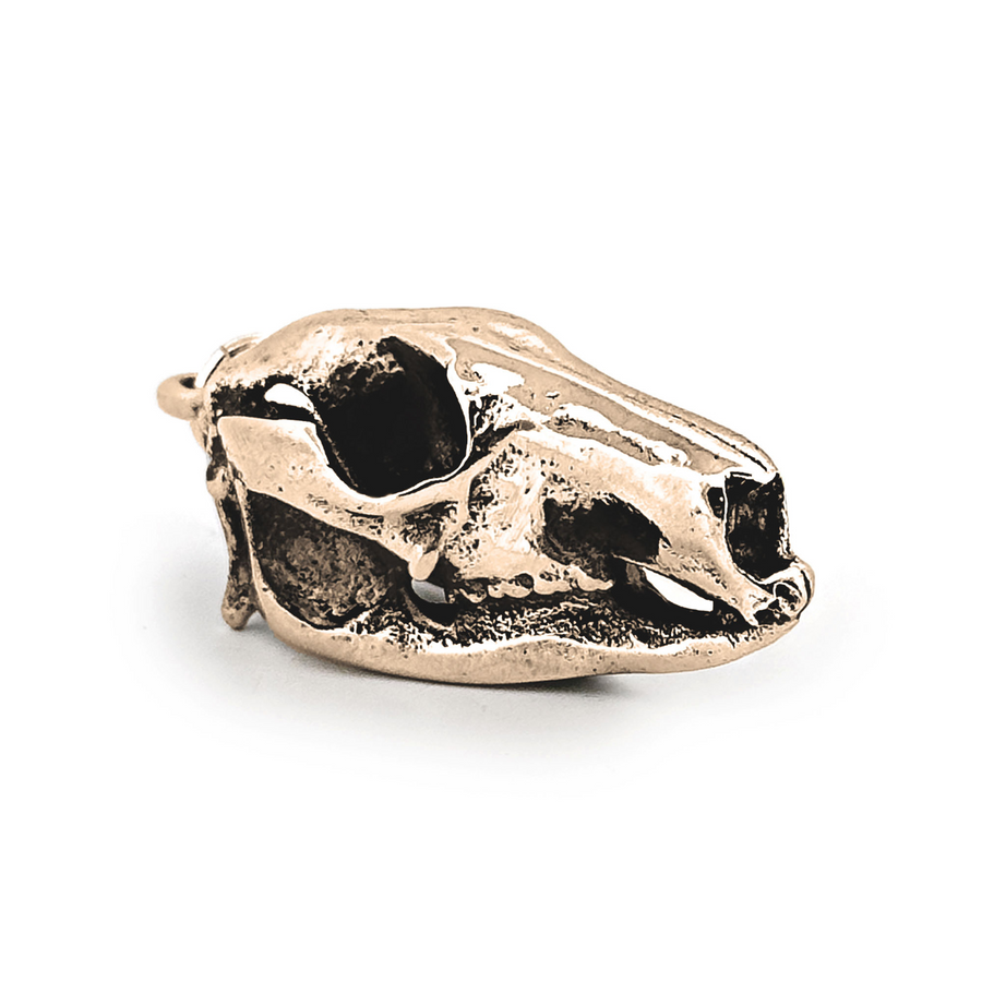 Yellow Bronze Kangaroo Skull Pendant by Fire & Bone