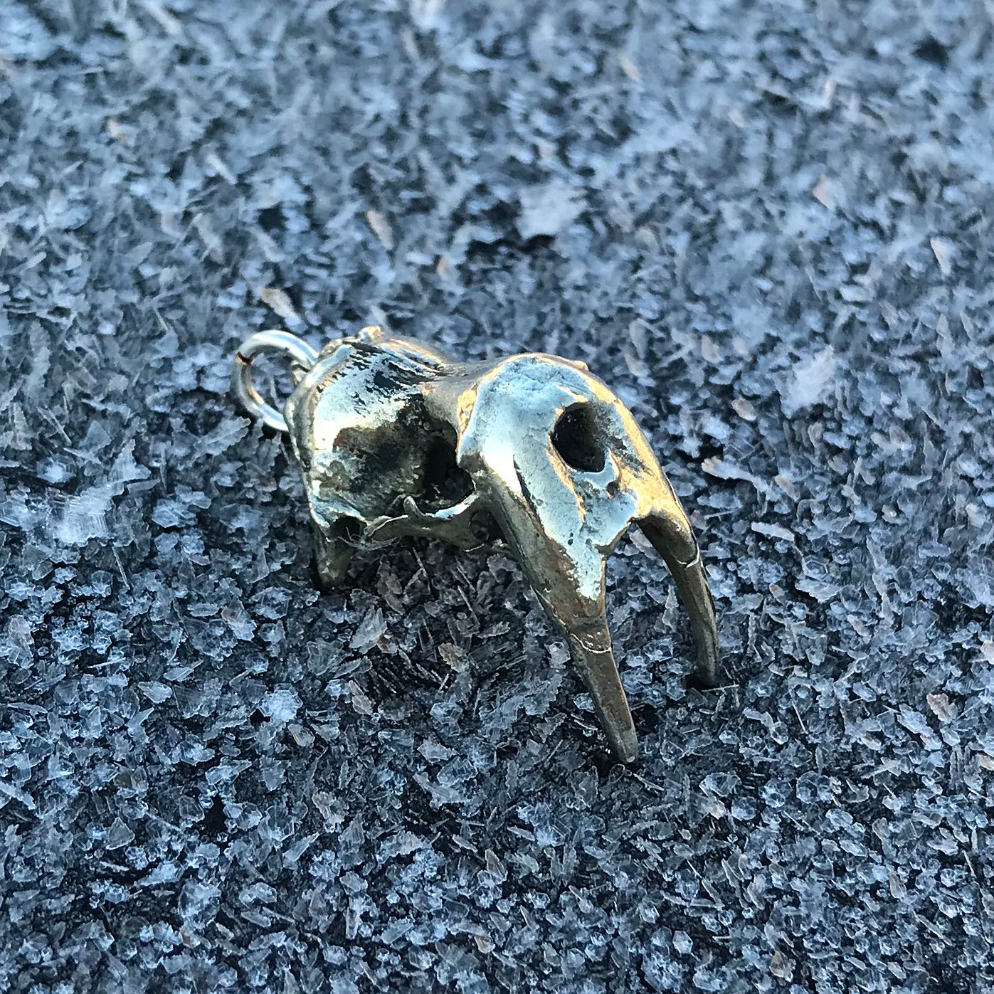 Walrus Skull Pendant by Fire & Bone