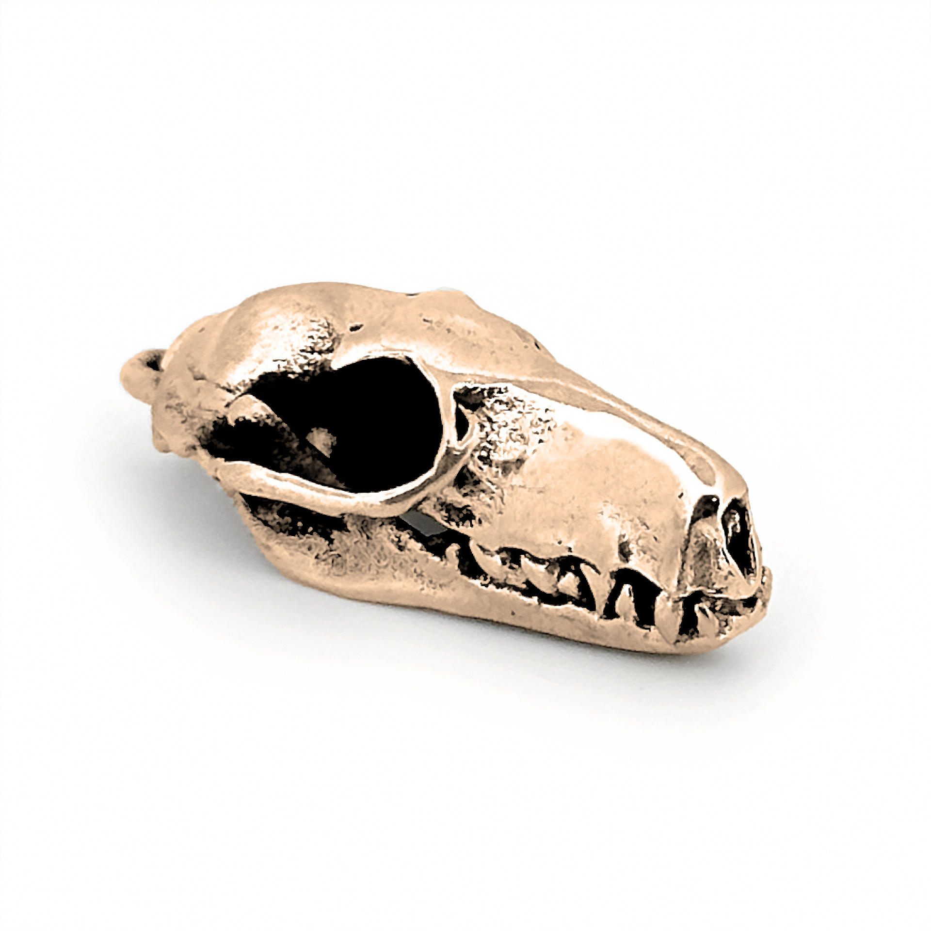 Hammer-Headed Bat Skull Pendant by Fire & Bone