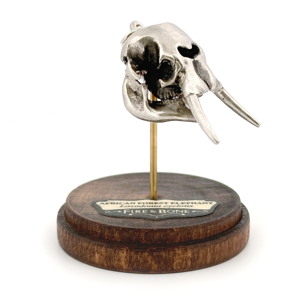 White Bronze African Forest Elephant Skull Pendant by Fire & Bone