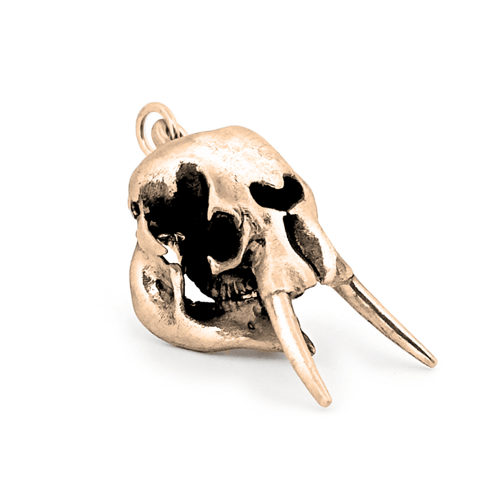 Yellow Bronze African Forest Elephant Skull Pendant by Fire & Bone