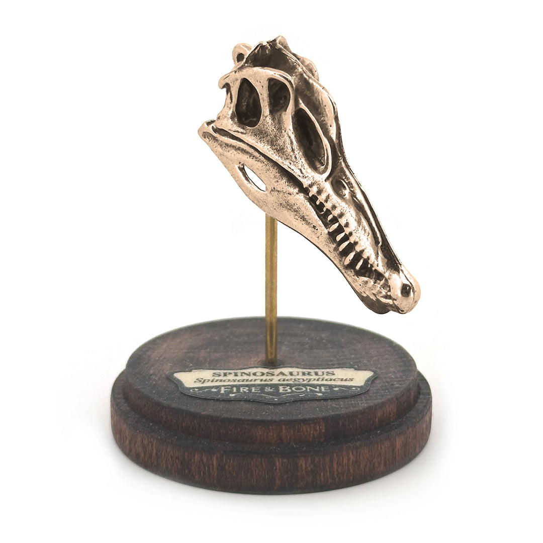Spinosaurus