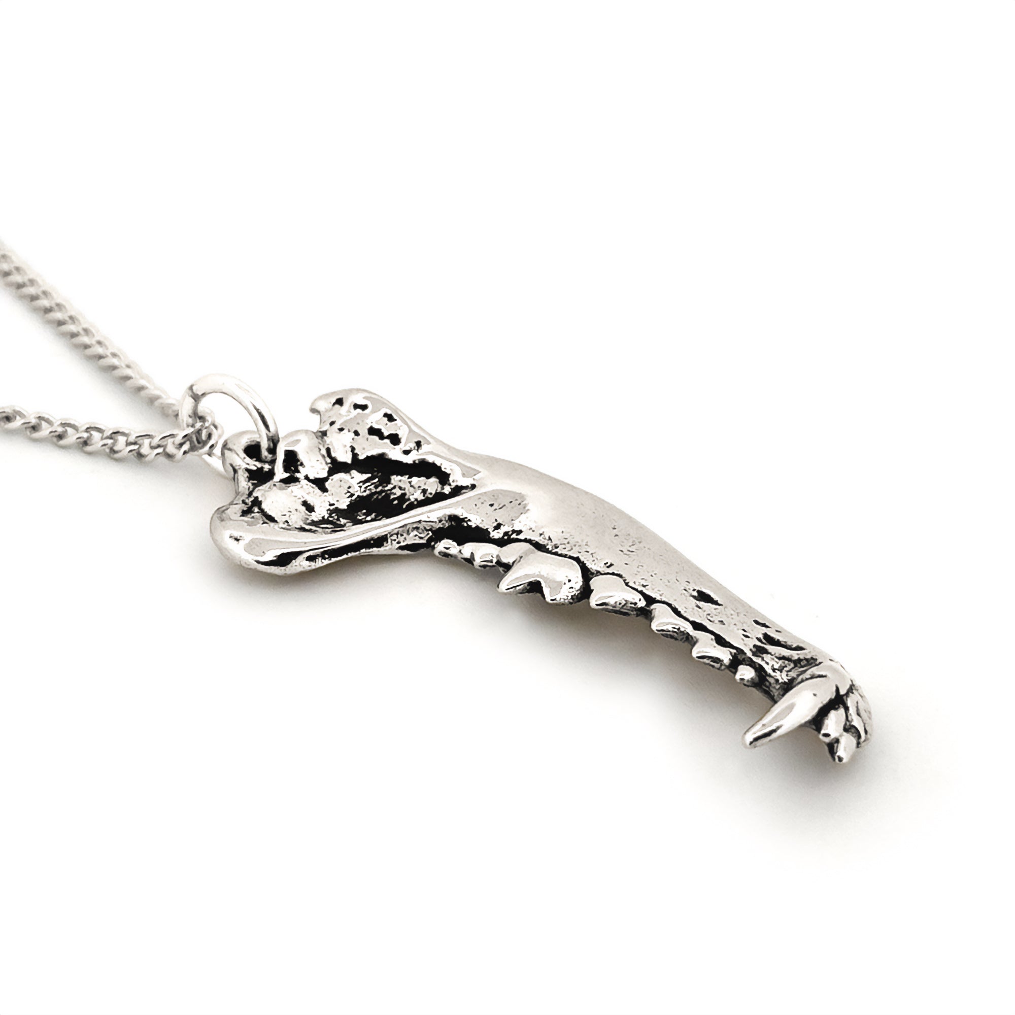 2002-SSW.jpg?v=1709999101&