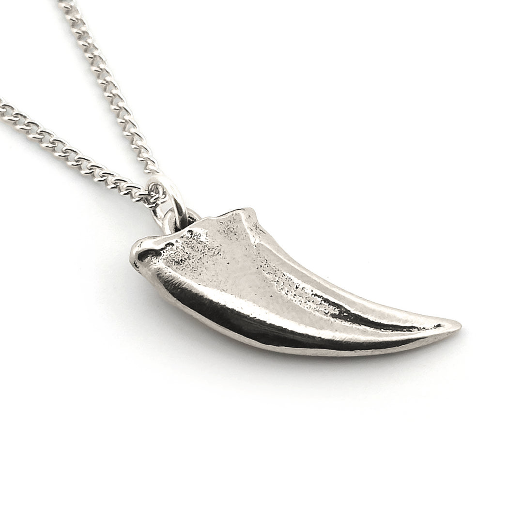 Tyrannosaurus Claw Pendant