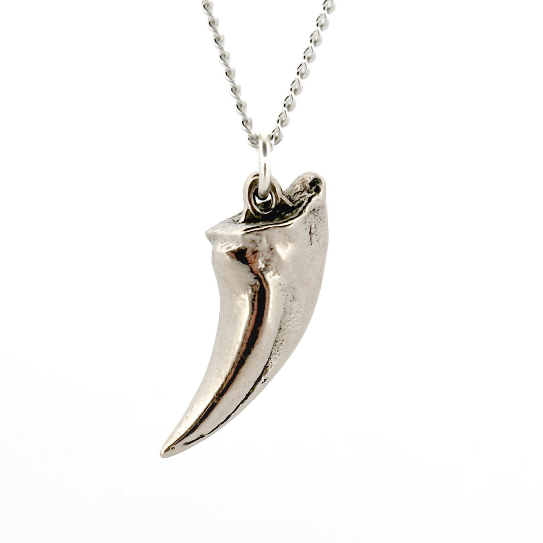 Tyrannosaurus Claw Pendant