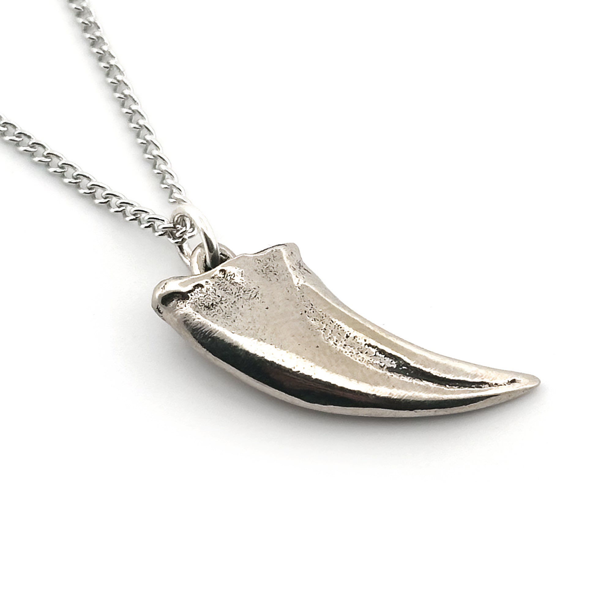 Tyrannosaurus Claw Pendant by Fire & Bone