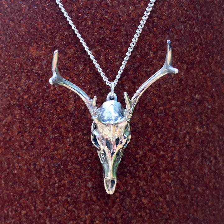 White-Tailed Deer