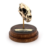 Lion - Bronze