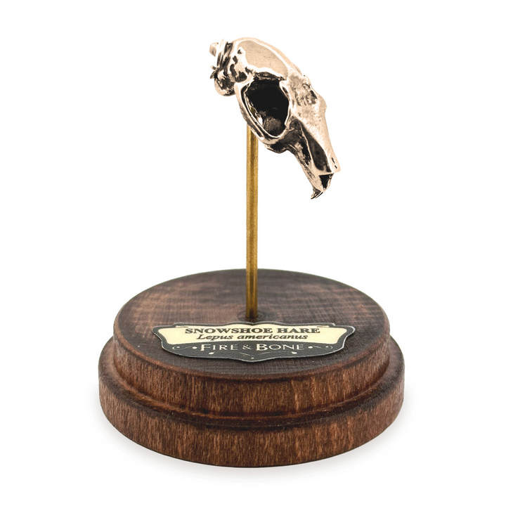 Yellow Bronze Snowshoe Hare Skull Pendant by Fire & Bone