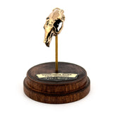 Snowshoe Hare - Bronze