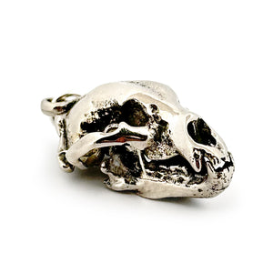 American Black Bear - Silver