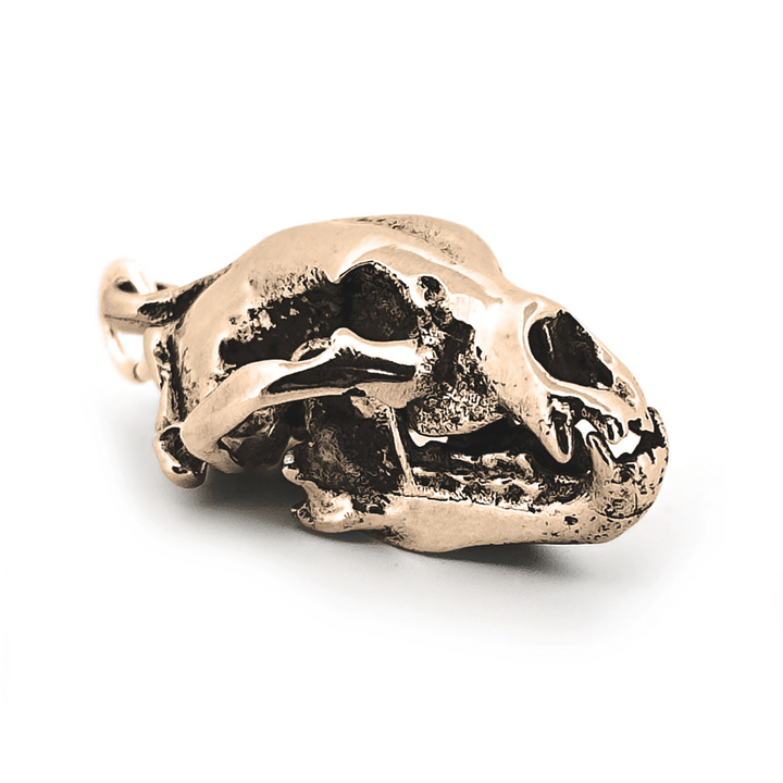 Yellow Bronze American Black Bear Skull Pendant by Fire & Bone