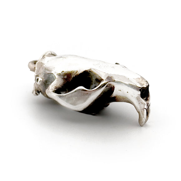 North American Beaver - Silver