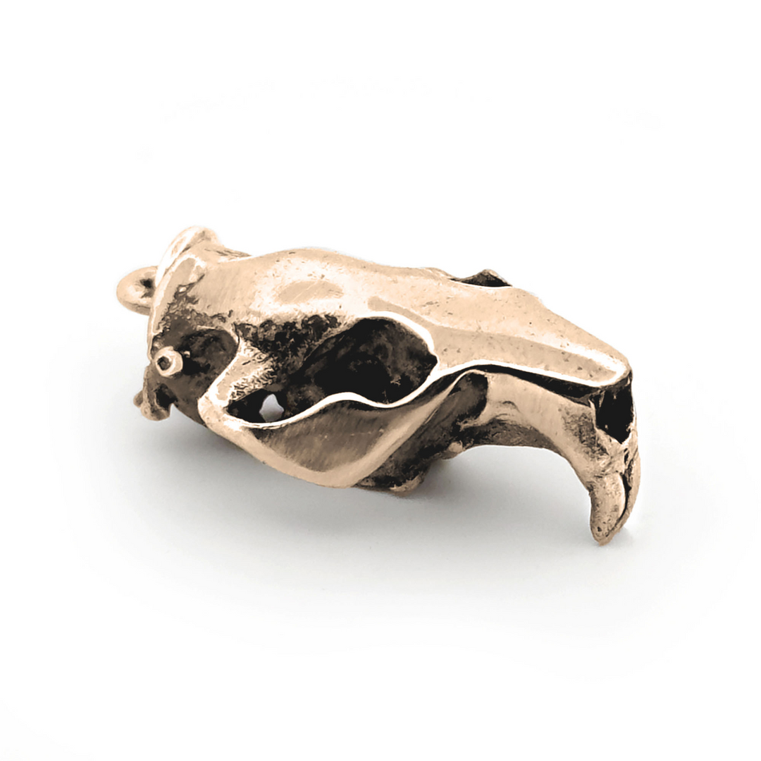 Yellow Bronze North American Beaver Skull Pendant by Fire & Bone