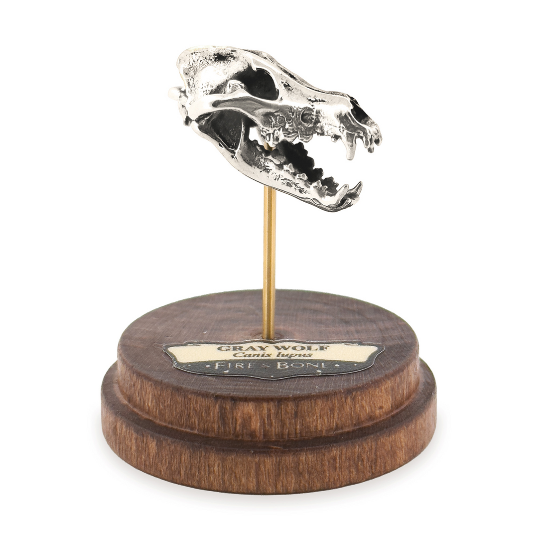 Sterling Silver Gray Wolf Skull Pendant by Fire & Bone