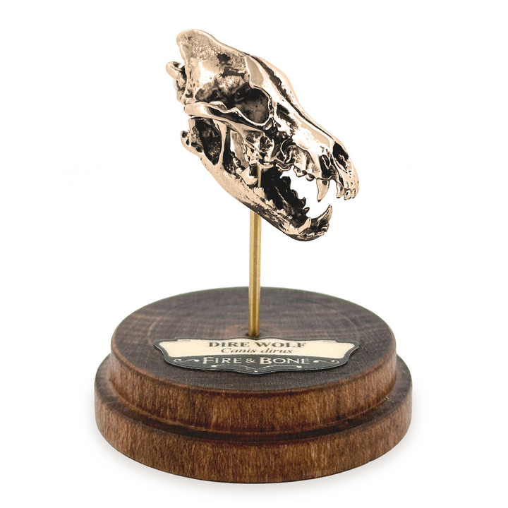 Yellow Bronze Dire Wolf Skull Pendant by Fire & Bone