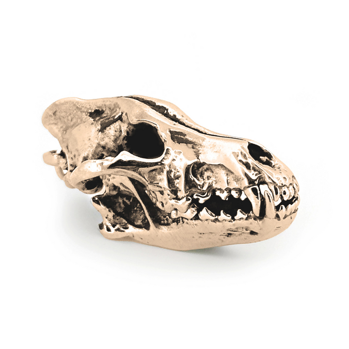 Yellow Bronze Dire Wolf Skull Pendant by Fire & Bone