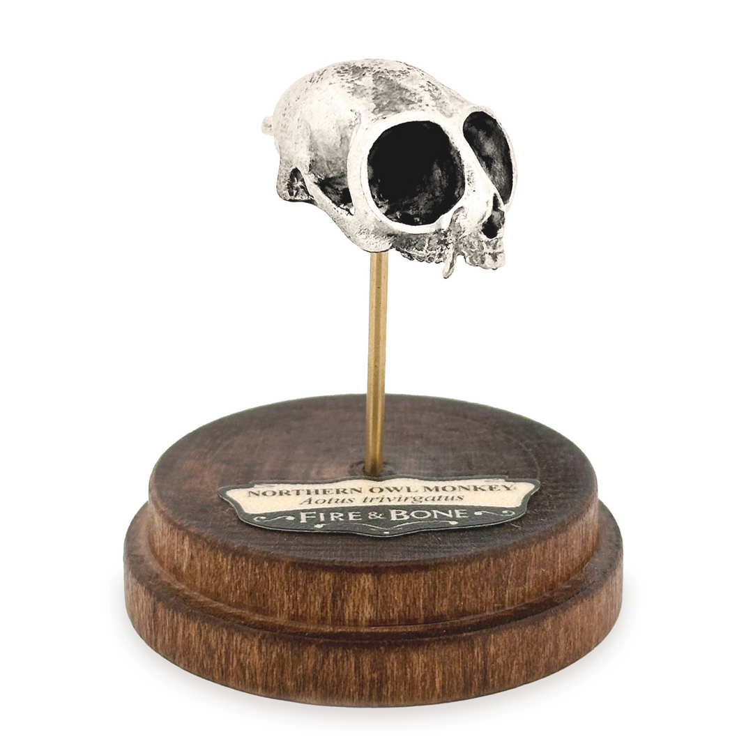 Sterling Silver Northern Owl Monkey Skull Pendant by Fire & Bone