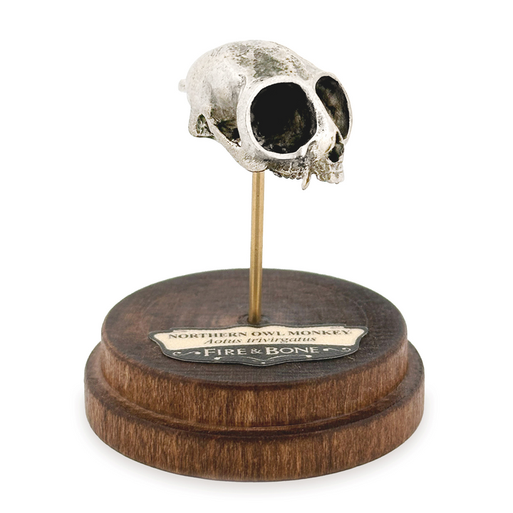 White Bronze Northern Owl Monkey Skull Pendant by Fire & Bone