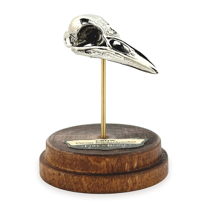 White Bronze Crow Skull Pendant by Fire & Bone