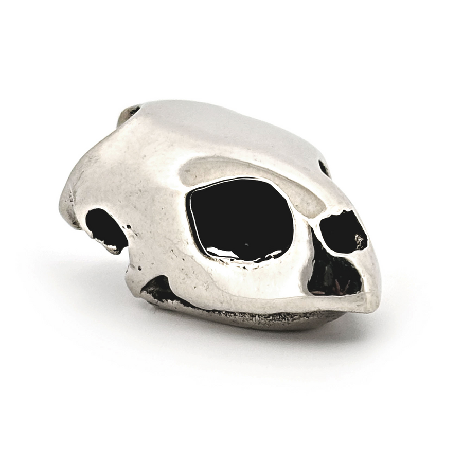 White Bronze Kemp's Ridley Sea Turtle Skull Pendant by Fire & Bone