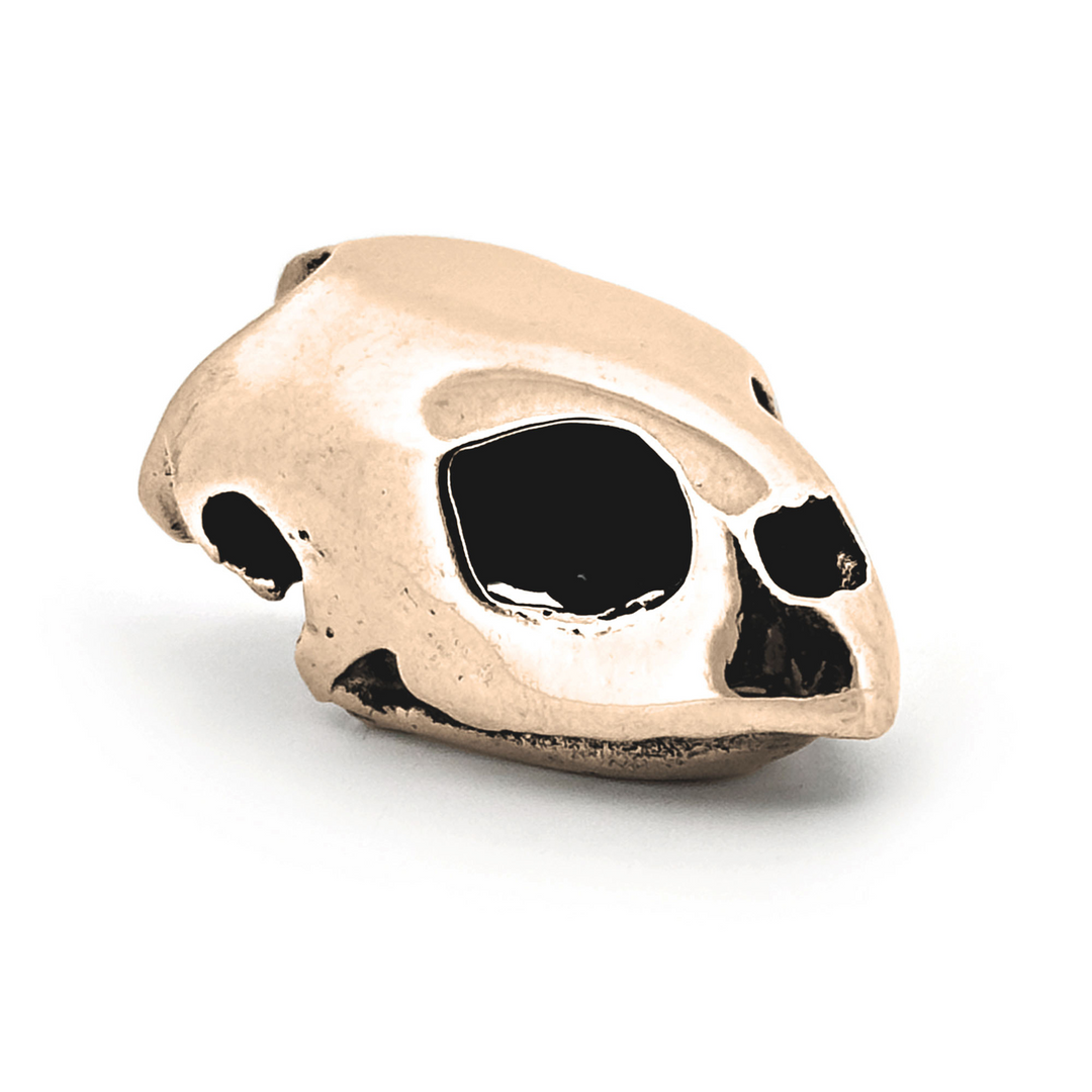Yellow Bronze Kemp's Ridley Sea Turtle Skull Pendant by Fire & Bone