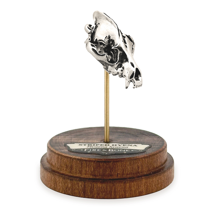 Sterling Silver Striped Hyena Skull Pendant by Fire & Bone