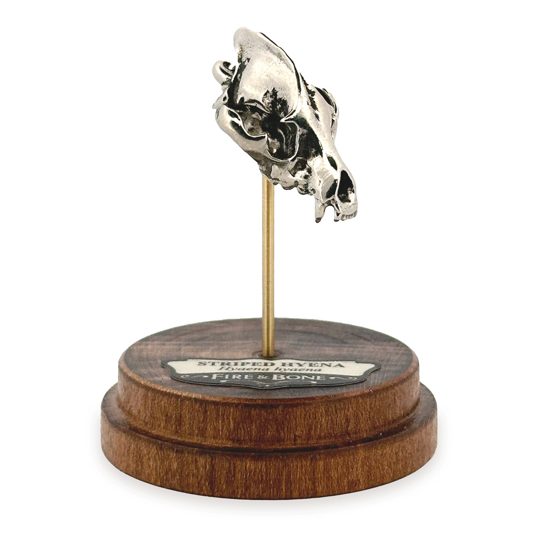 White Bronze Striped Hyena Skull Pendant by Fire & Bone