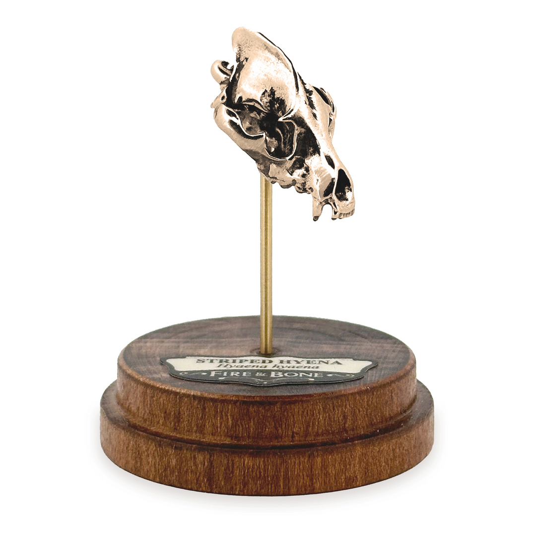 Yellow Bronze Striped Hyena Skull Pendant by Fire & Bone