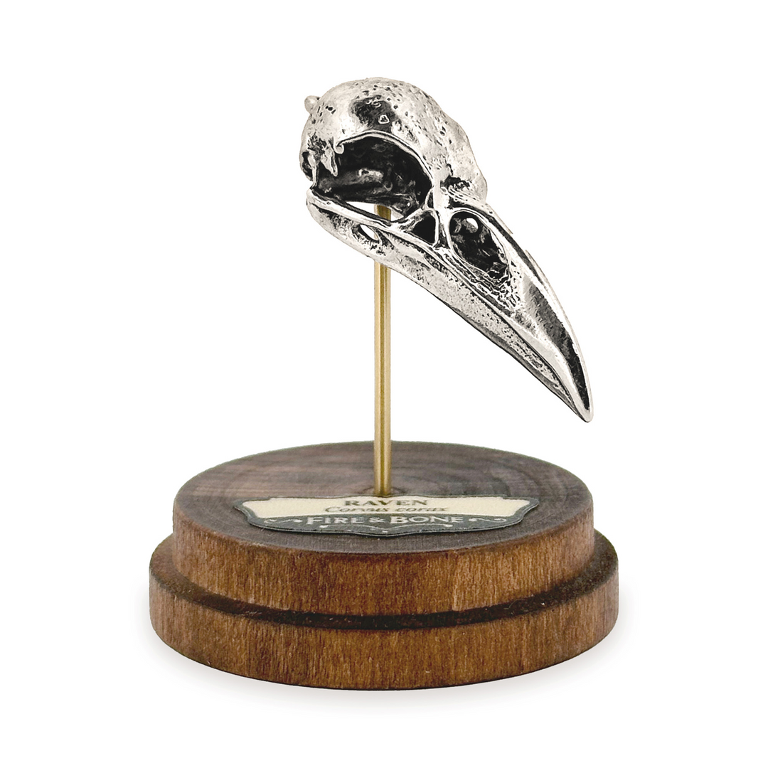 Real Raven Skull & Fox Vertebrae Bone Necklace – Handmade Gothic Jewelry, Pendant #12
