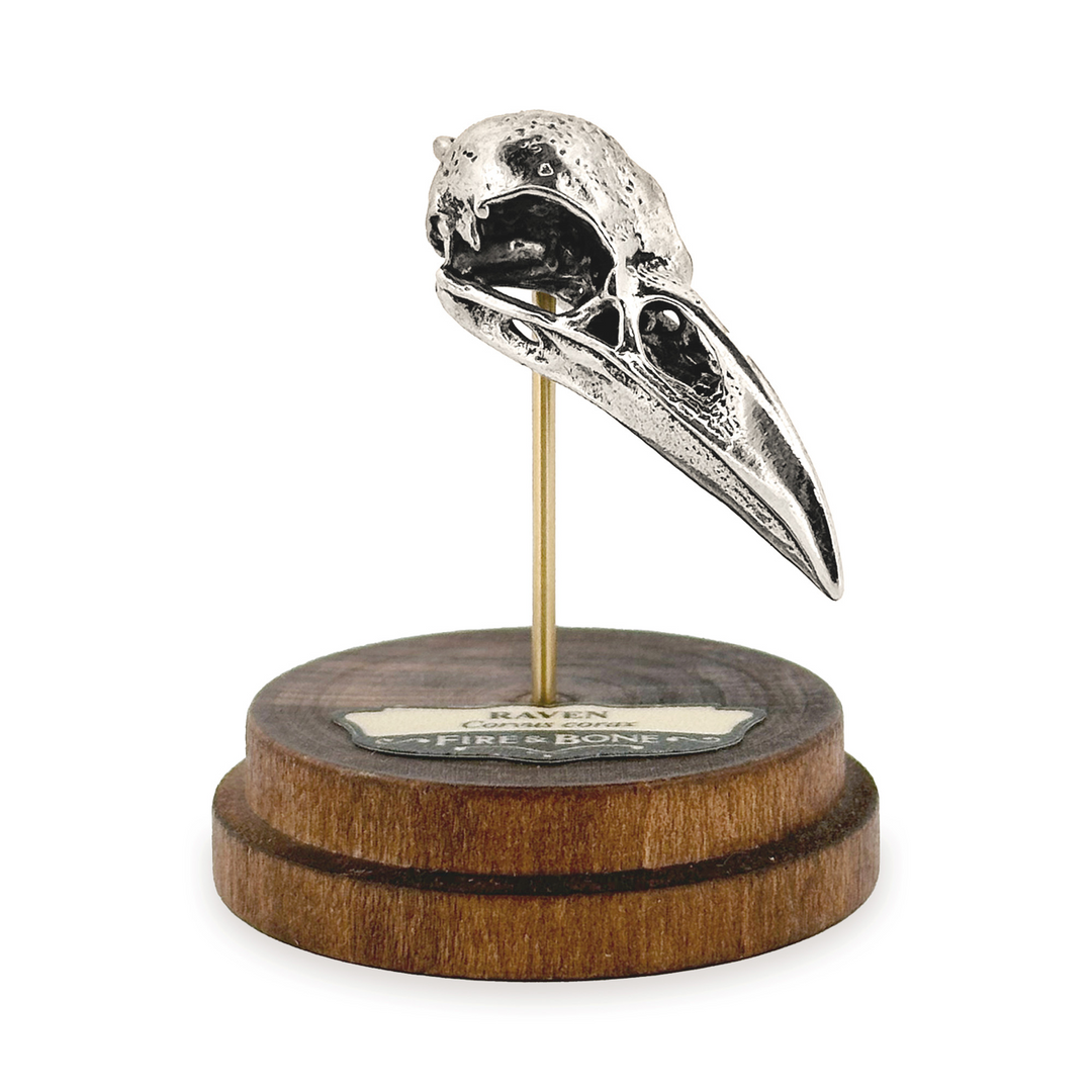 Sterling Silver Raven Skull Pendant by Fire & Bone