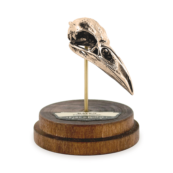 Yellow Bronze Raven Skull Pendant by Fire & Bone