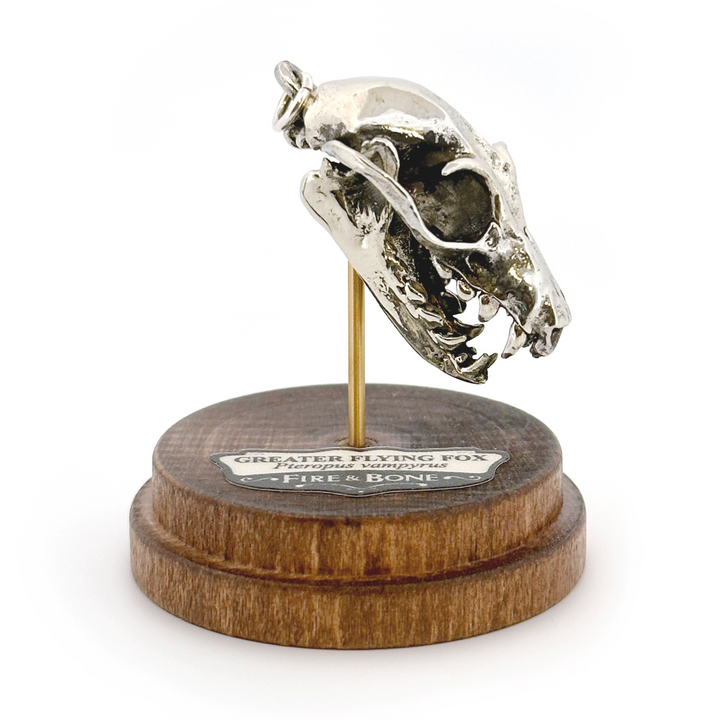 White Bronze Greater Flying Fox Skull Pendant by Fire & Bone
