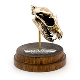 Greater Flying Fox Bat - Bronze