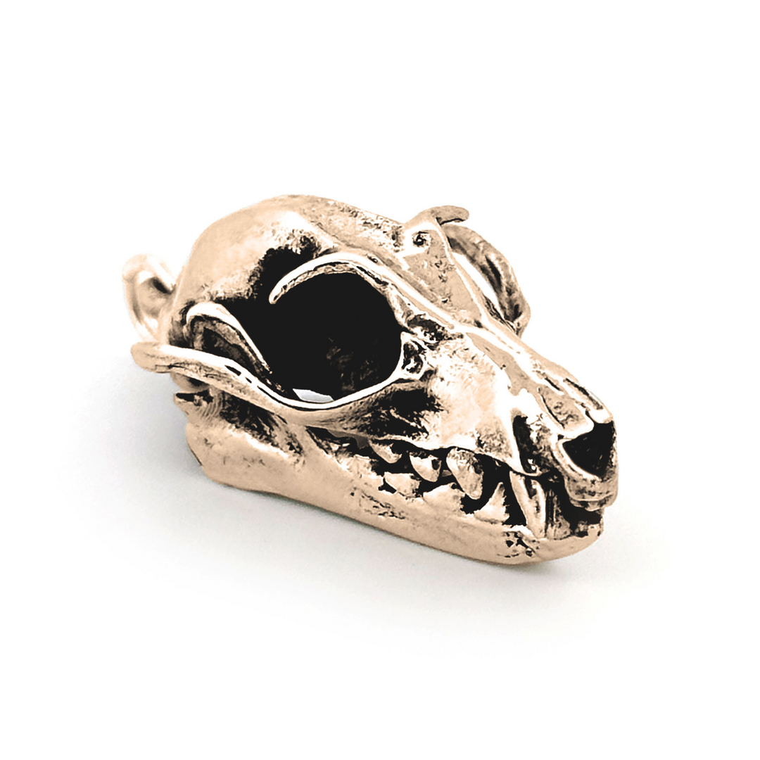 Yellow Bronze Greater Flying Fox Skull Pendant by Fire & Bone