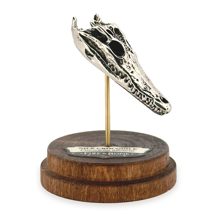 White Bronze Nile Crocodile Skull Pendant by Fire & Bone