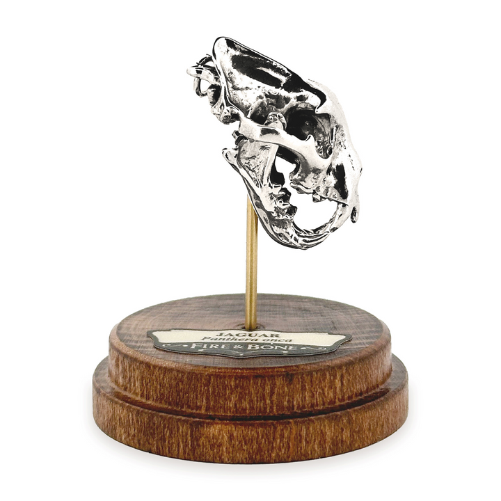 Sterling Silver Jaguar Skull Pendant by Fire & Bone