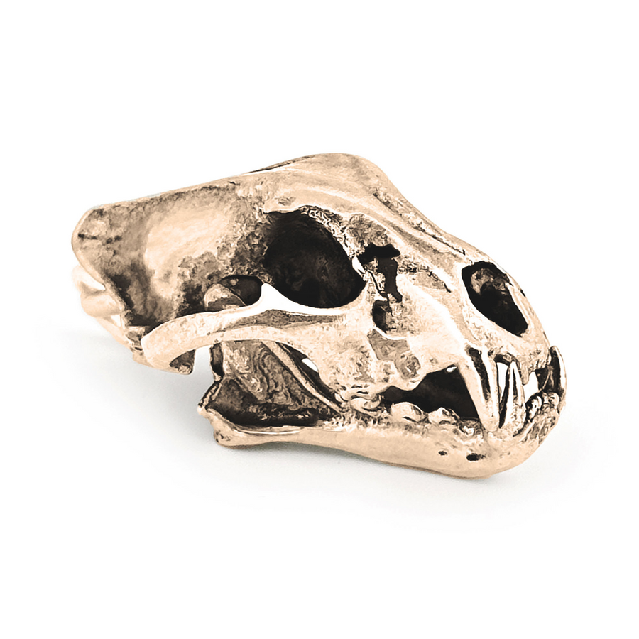 Yellow Bronze Jaguar Skull Pendant by Fire & Bone