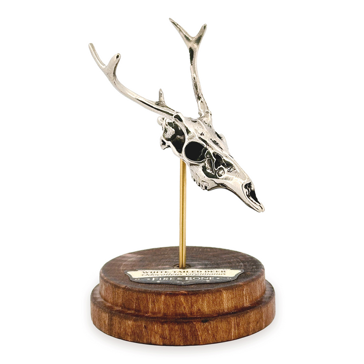 White Bronze White-Tailed Deer Skull Pendant by Fire & Bone