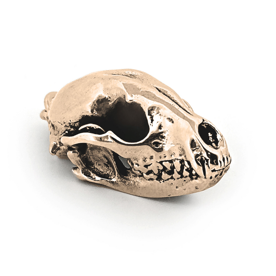 Yellow Bronze Raccoon Skull Pendant by Fire & Bone