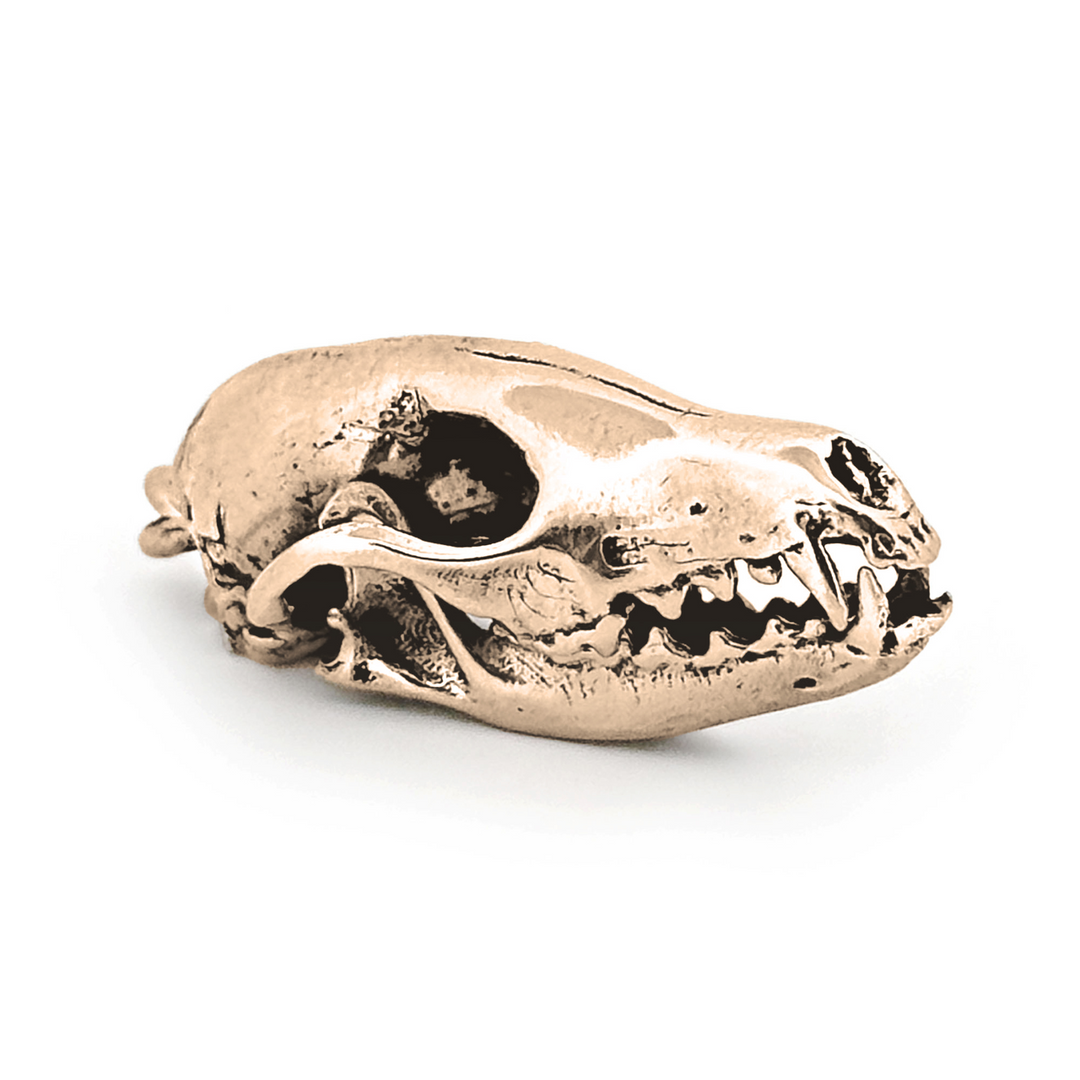 Yellow Bronze Arctic Fox Skull Pendant by Fire & Bone