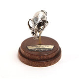 Silver Domestic Cat Animal Skull Pendant by Fire & Bone
