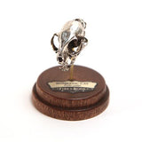 Bronze Domestic Cat Animal Skull Pendant by Fire & Bone
