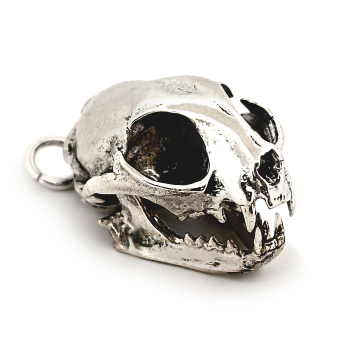 White Bronze Domestic Cat Skull Pendant by Fire & Bone